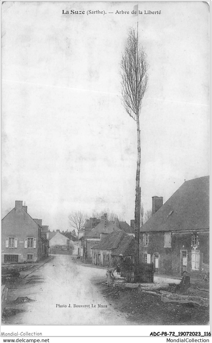 ADCP8-72-0763 - LA SUZE - Arbre De La Liberté - La Suze Sur Sarthe