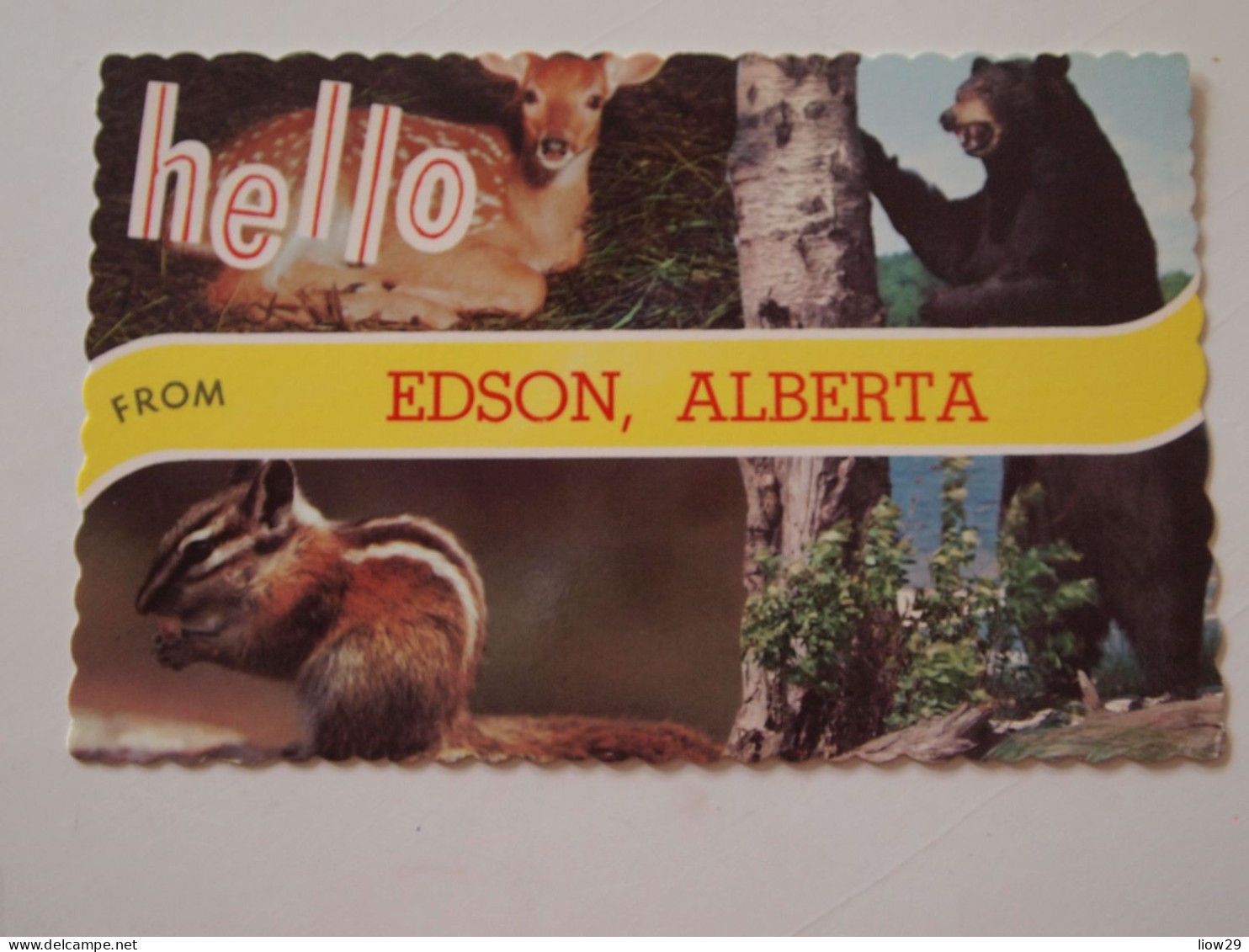 CPA Canada Alberta Edson - Altri & Non Classificati