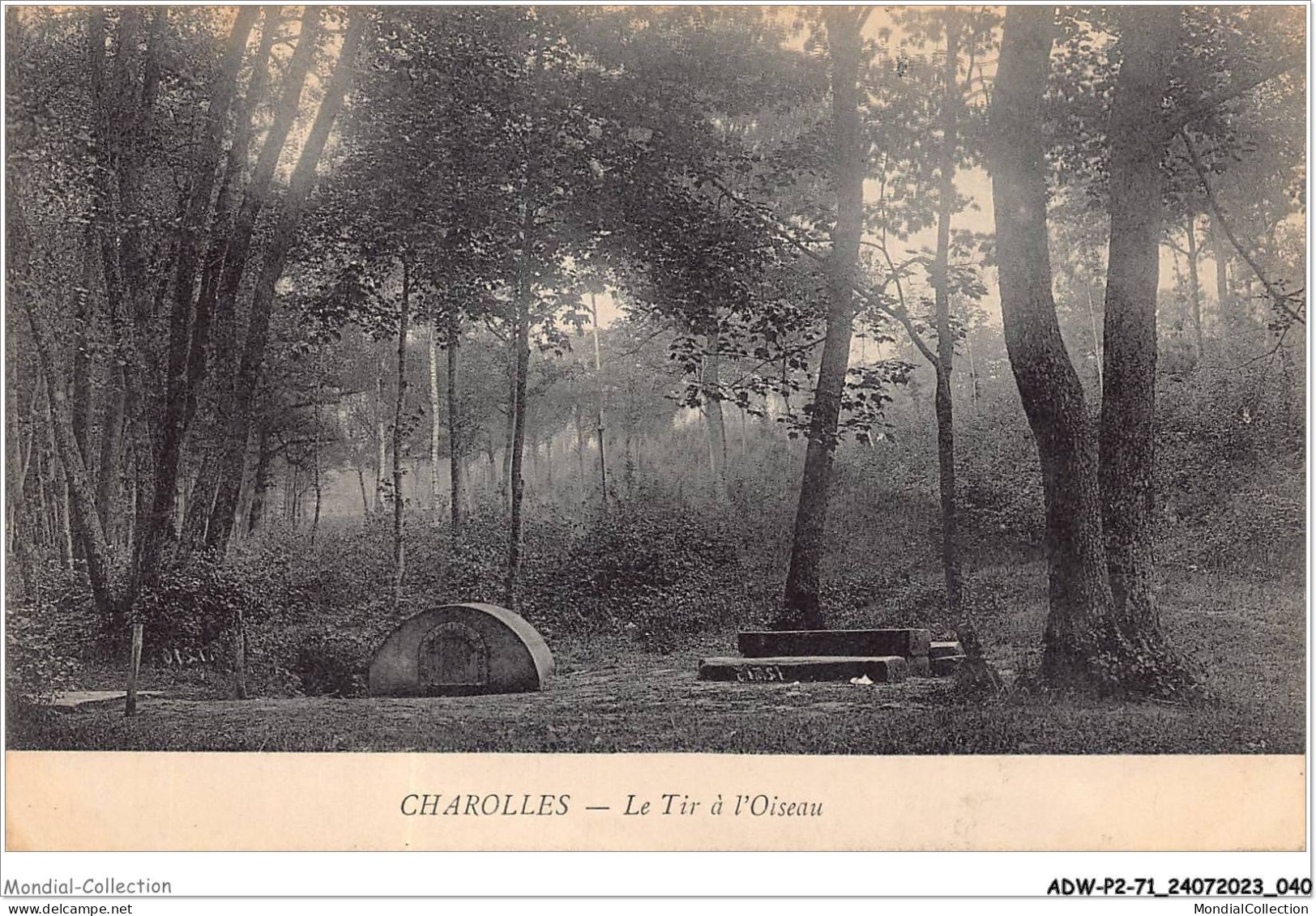ADWP2-71-0115 - CHAROLLES - Le Tir à L'oiseau  - Charolles