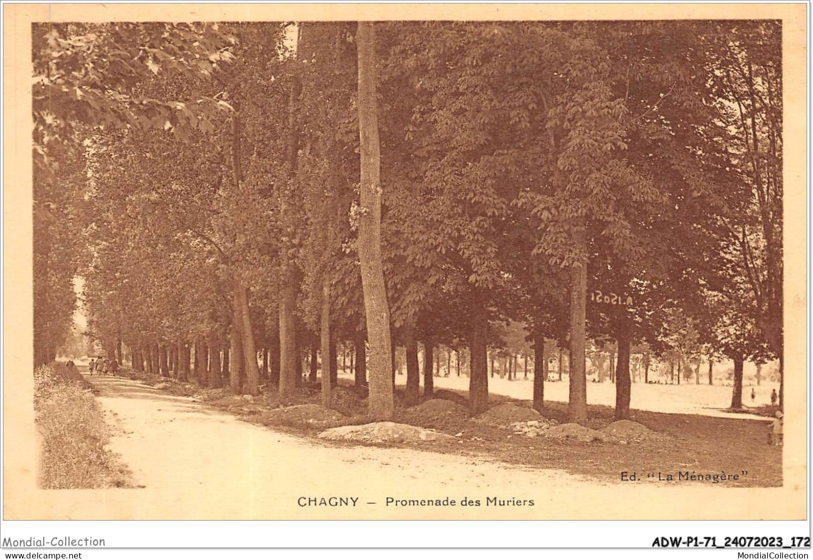 ADWP1-71-0087 - CHAGNY - Promenade Des Muriers  - Chagny