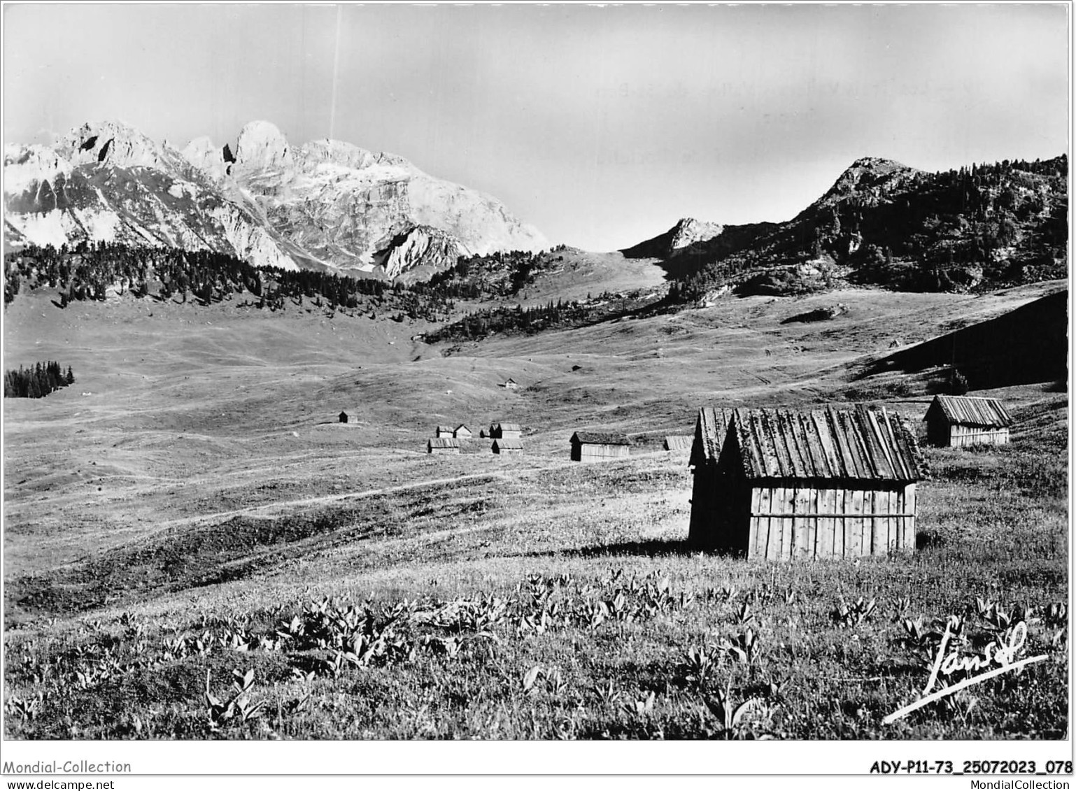 ADYP11-73-0896 - Les Trois Valléees - Vallée De St-bon - Chalets De Praslin Et Massif De Portetta  - Courchevel