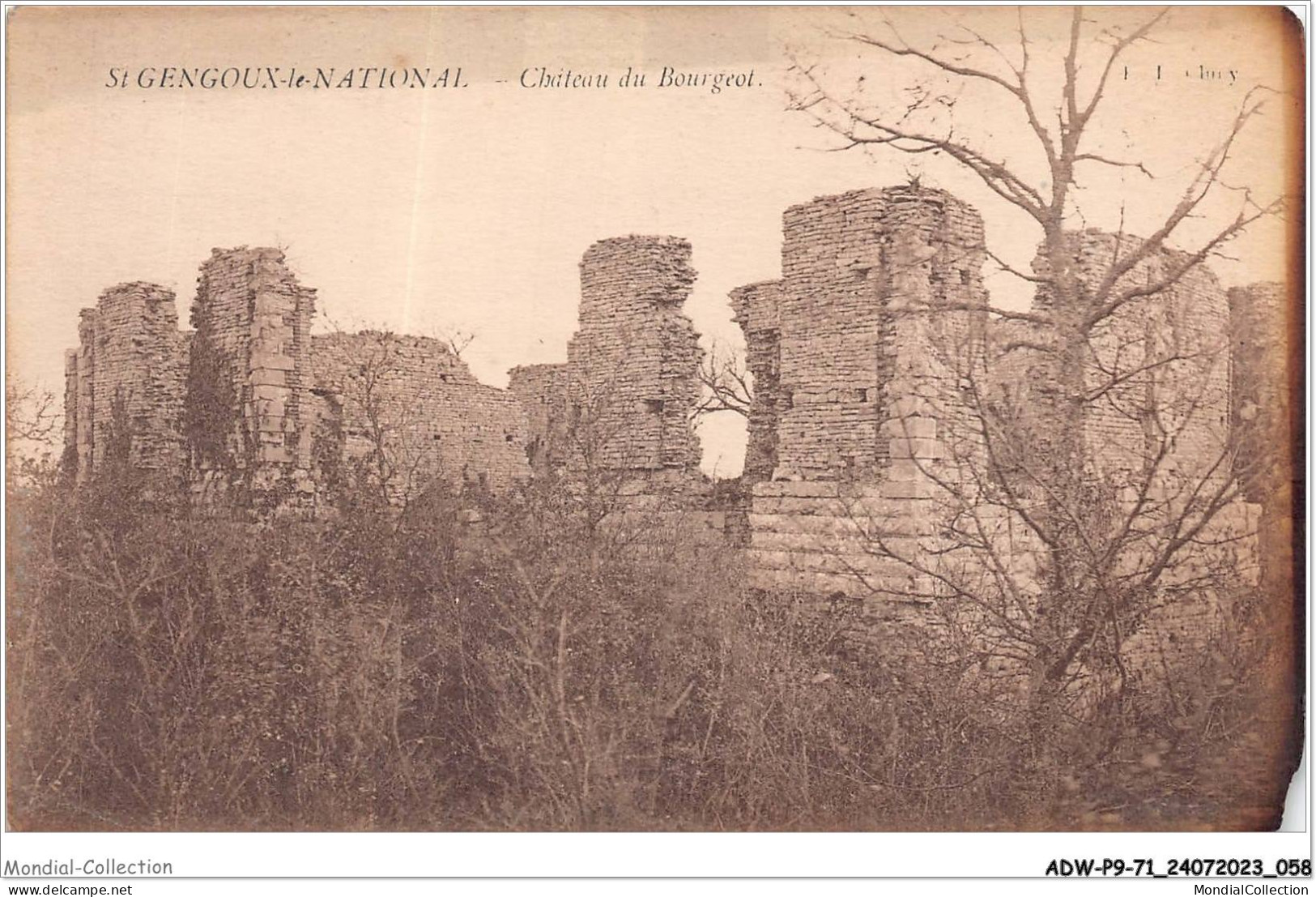 ADWP9-71-0824 - SAINT-GENGOUX-LE-NATIONAL - Château Du Bourgeot  - Chalon Sur Saone