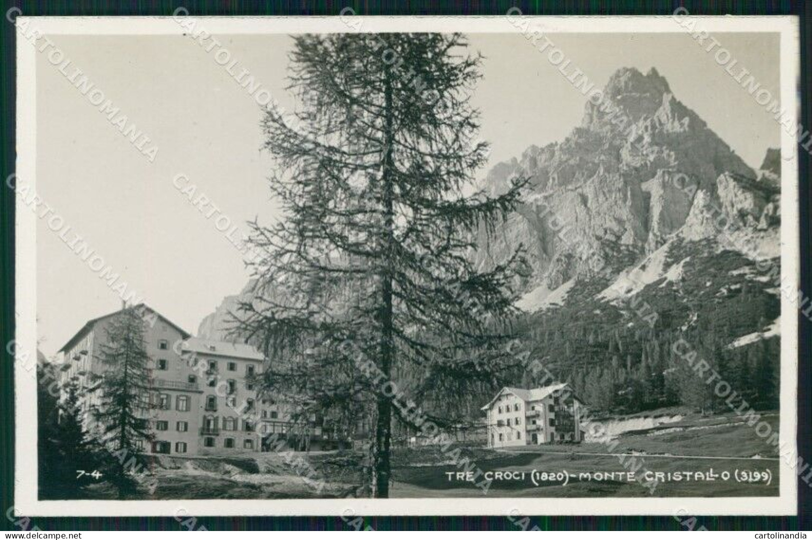 Belluno Cortina D'Ampezzo Monte Cristallo Tre Croci Foto Cartolina MX3475 - Belluno