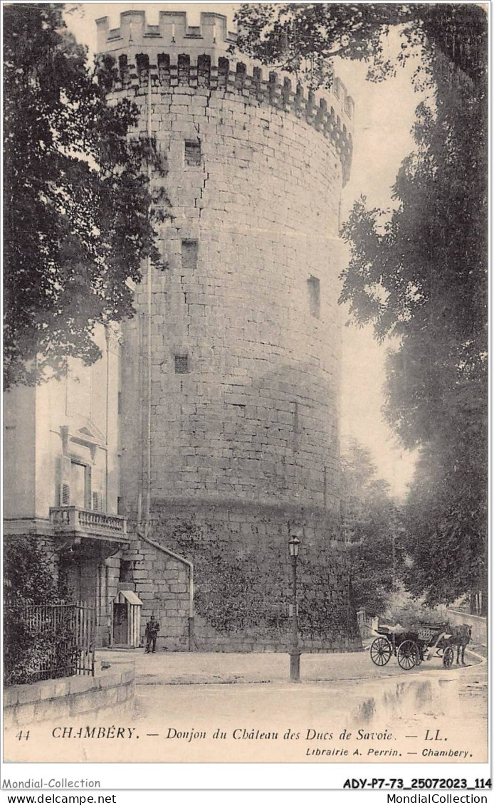 ADYP7-73-0615 - CHAMBERY - Donjon Du Château Des Ducs De Savoie  - Chambery