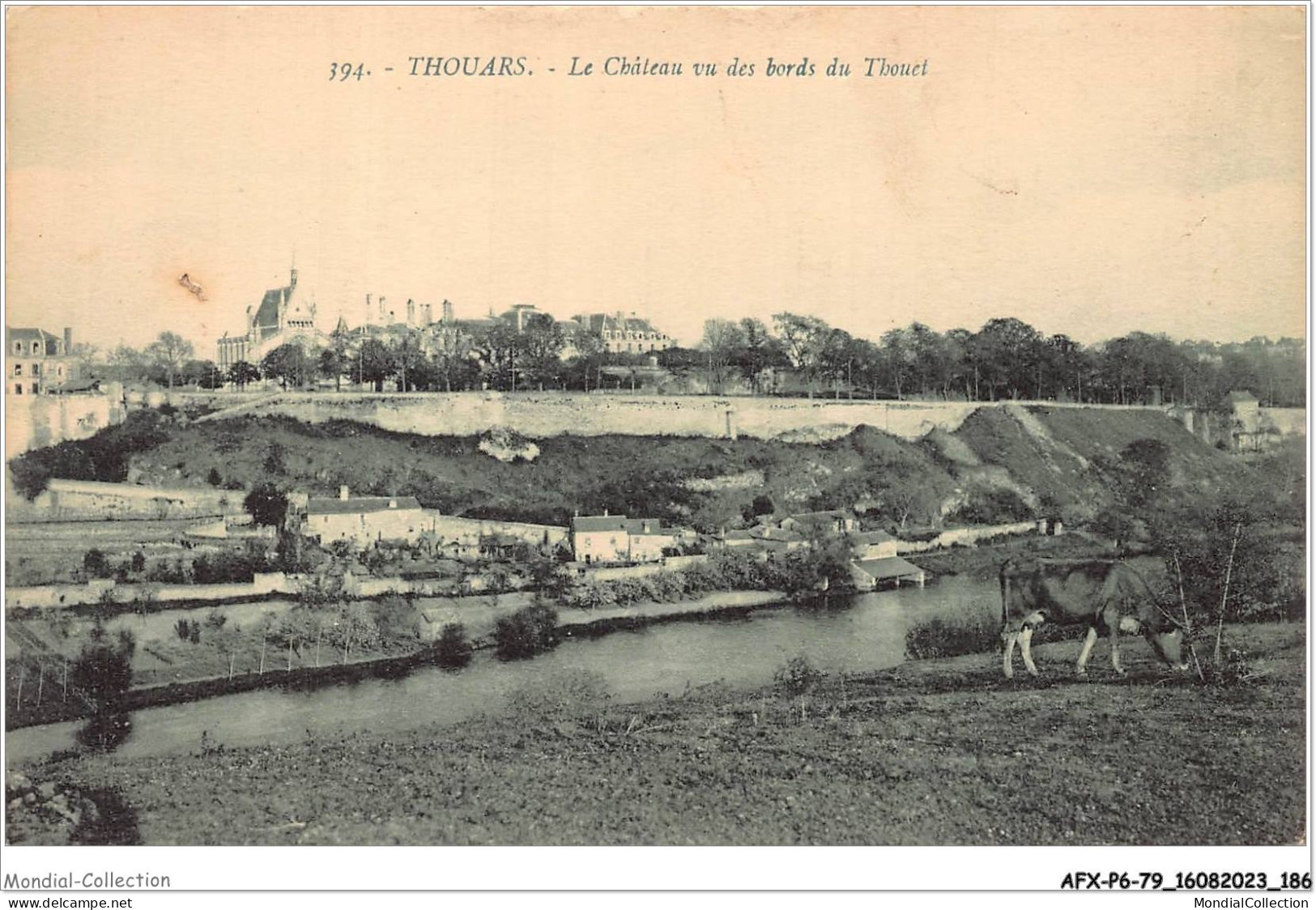 AFXP6-79-0546 - THOUARS - Le Chateau Vu Des Bords Du Thouet - Thouars