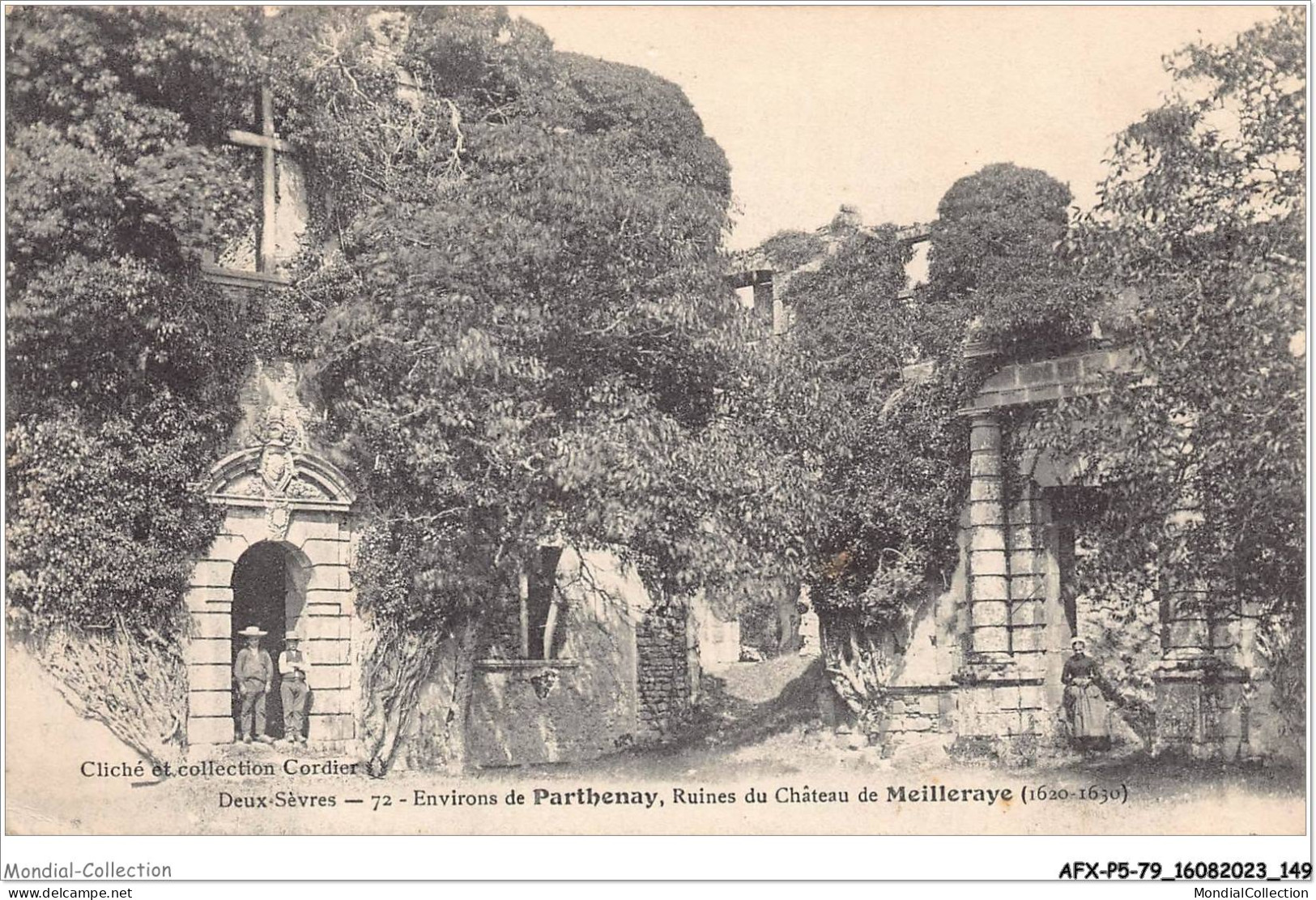 AFXP5-79-0437 - Environs De PARTHENAY - Ruines Du Chateau De Meilleraye - Parthenay