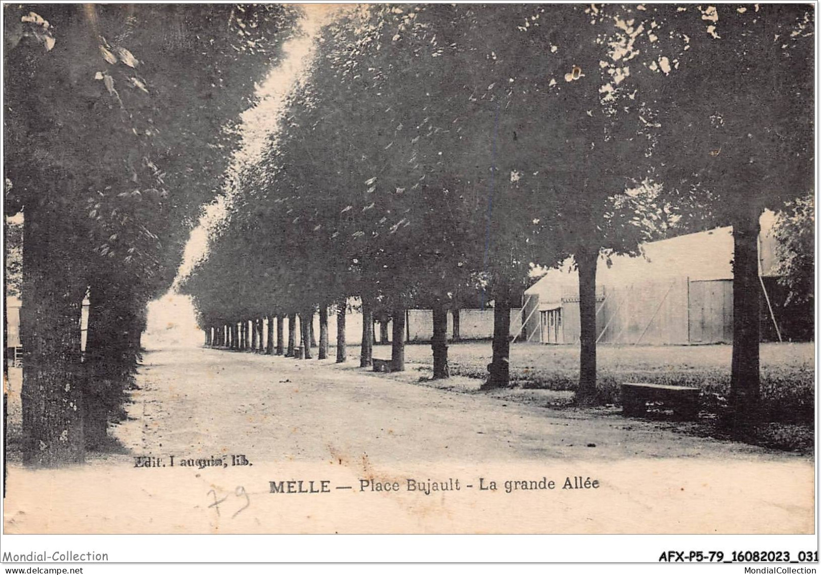 AFXP5-79-0378 - MELLE - Place Bujault - La Grande Allée - Melle