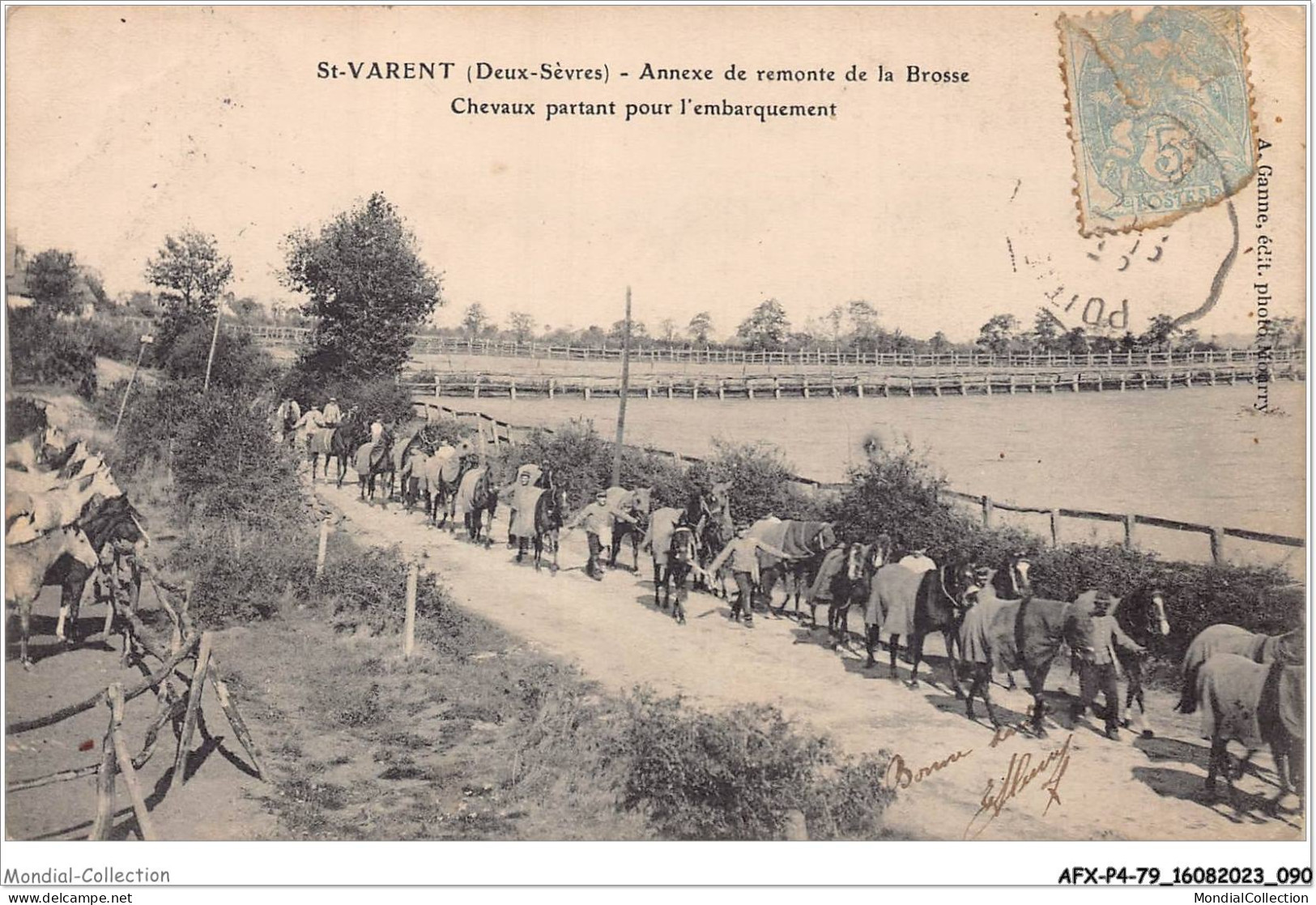 AFXP4-79-0321 - ST-VARENT - Annexe De Remonte De La Brosse  - Chevaux Partant Pour L'embarquement - Bressuire