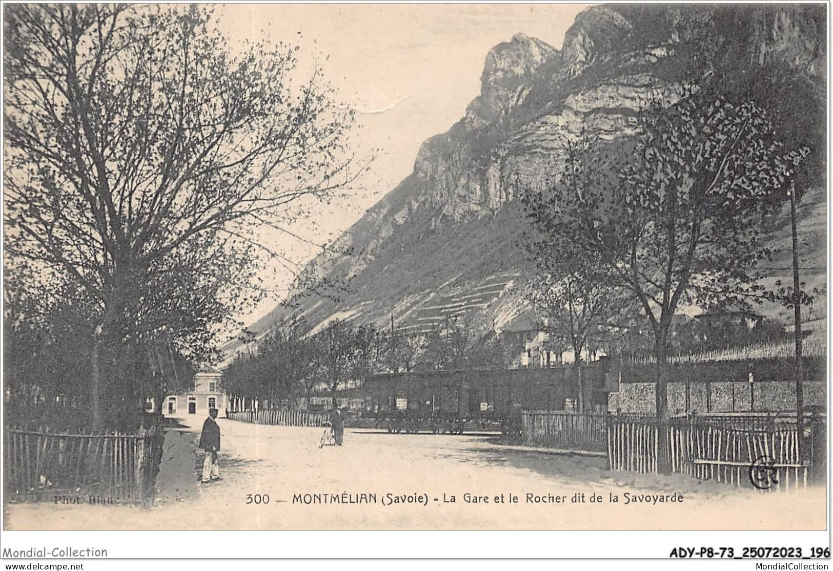 ADYP8-73-0744 - MONTMELIAN - La Gare Et Le Rocher Dit De La Savoyarde  - Montmelian