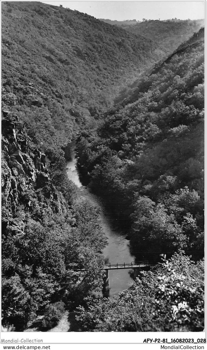 AFYP2-81-0102 - Environs De PAMPELONNE - Tarn - Gorges Du Viaur - La Passerelle De Saint-géniez  - Pampelonne