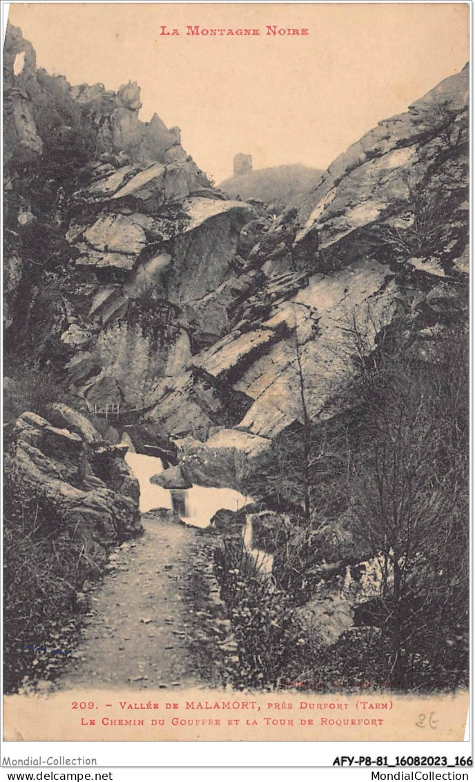 AFYP8-81-0762 - La Montagne Noire - Vallée De Malamort - Près DURFORT - Tarn - Le Chemin Du Gouffre  - Castres