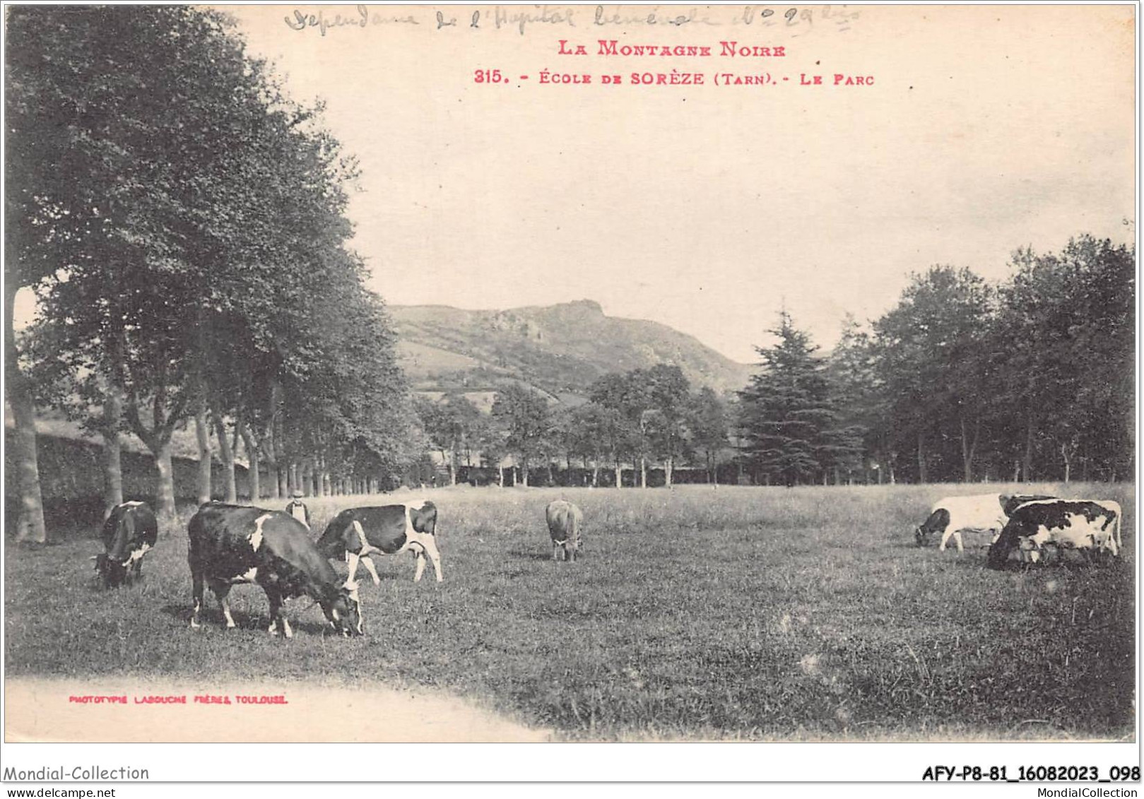 AFYP8-81-0728 - La Montagne Noire - Ecole De SOREZE - Tarn - Le Parc  - Castres