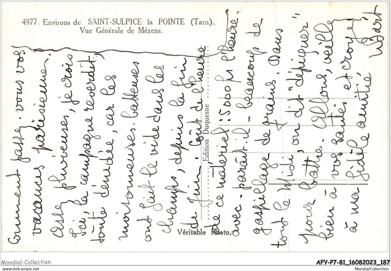 AFYP7-81-0673 - Environs De SAINT-SULPICE La Pointe - Tarn - Vue Générale De Mézens   - Saint Sulpice
