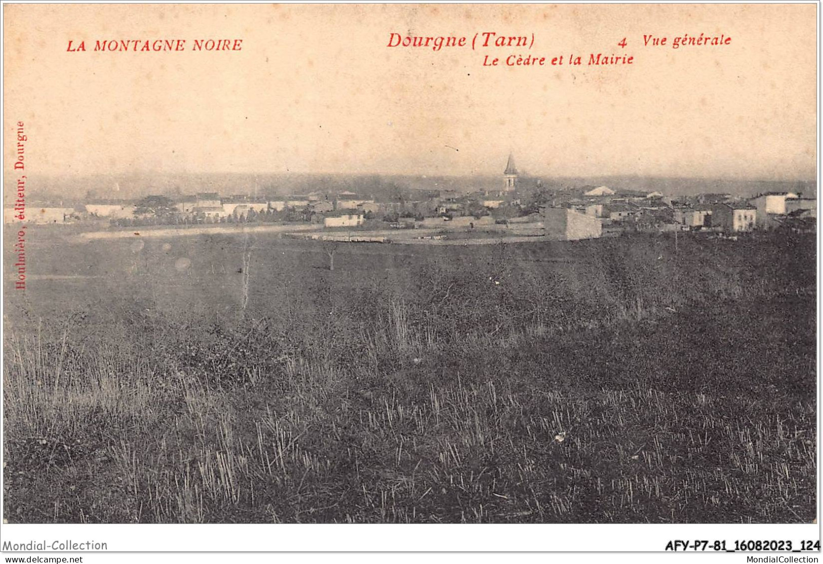 AFYP7-81-0642 - La Montagne Noire - DOURGNE - Tarn - Le Cèdre Et La Mairie - Vue Générale - Dourgne