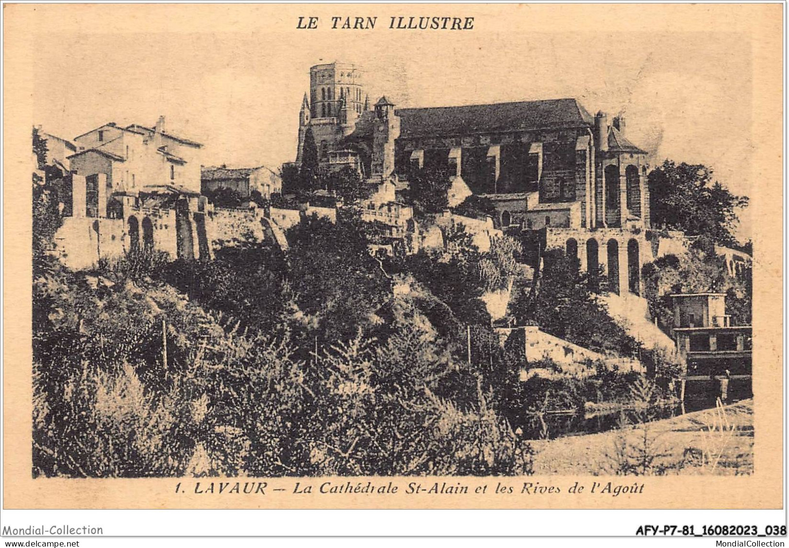 AFYP7-81-0599 - Le Tarn Illustré - LAVAUR - La Cathédrale St-alain Et Les Rives De L'agoût   - Lavaur