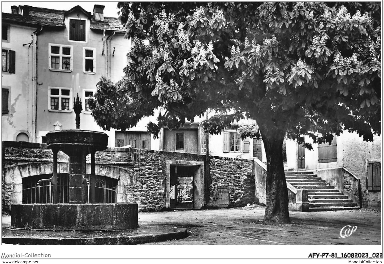 AFYP7-81-0591 - LACAUNE - Place Du Griffoul Et La Célèbre Fontaine Des Quatre Consuls - XIIIe S  - Castres