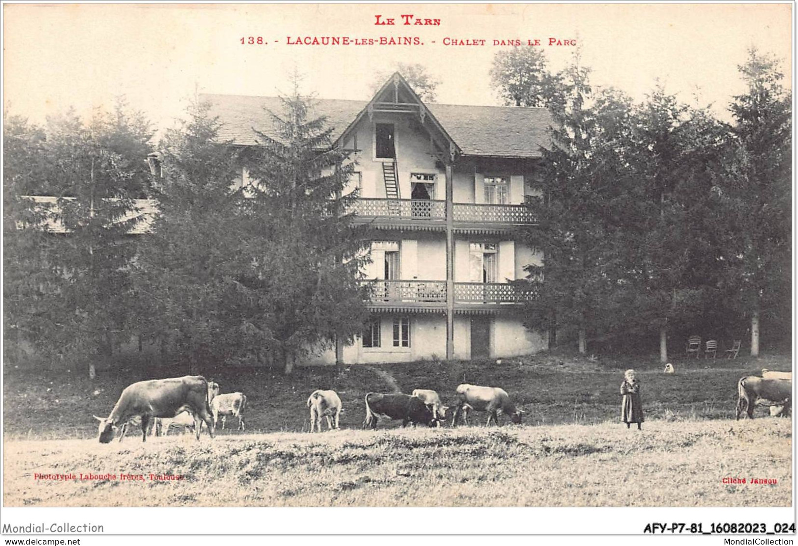 AFYP7-81-0592 - Le Tarn - LACAUNE-les-Bains - Chalet Dans Le Parc  - Castres