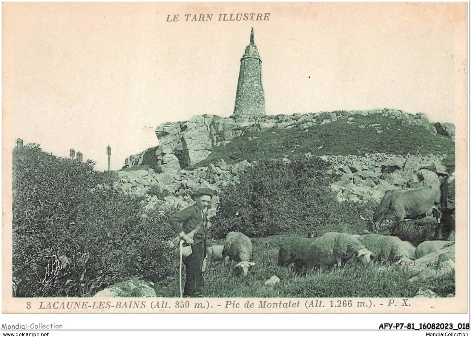 AFYP7-81-0589 - Le Tarn Illustré - LACAUNE-les-Bains - Alt 850 M - Pic De Montalet - Alt 1266 M  - Castres