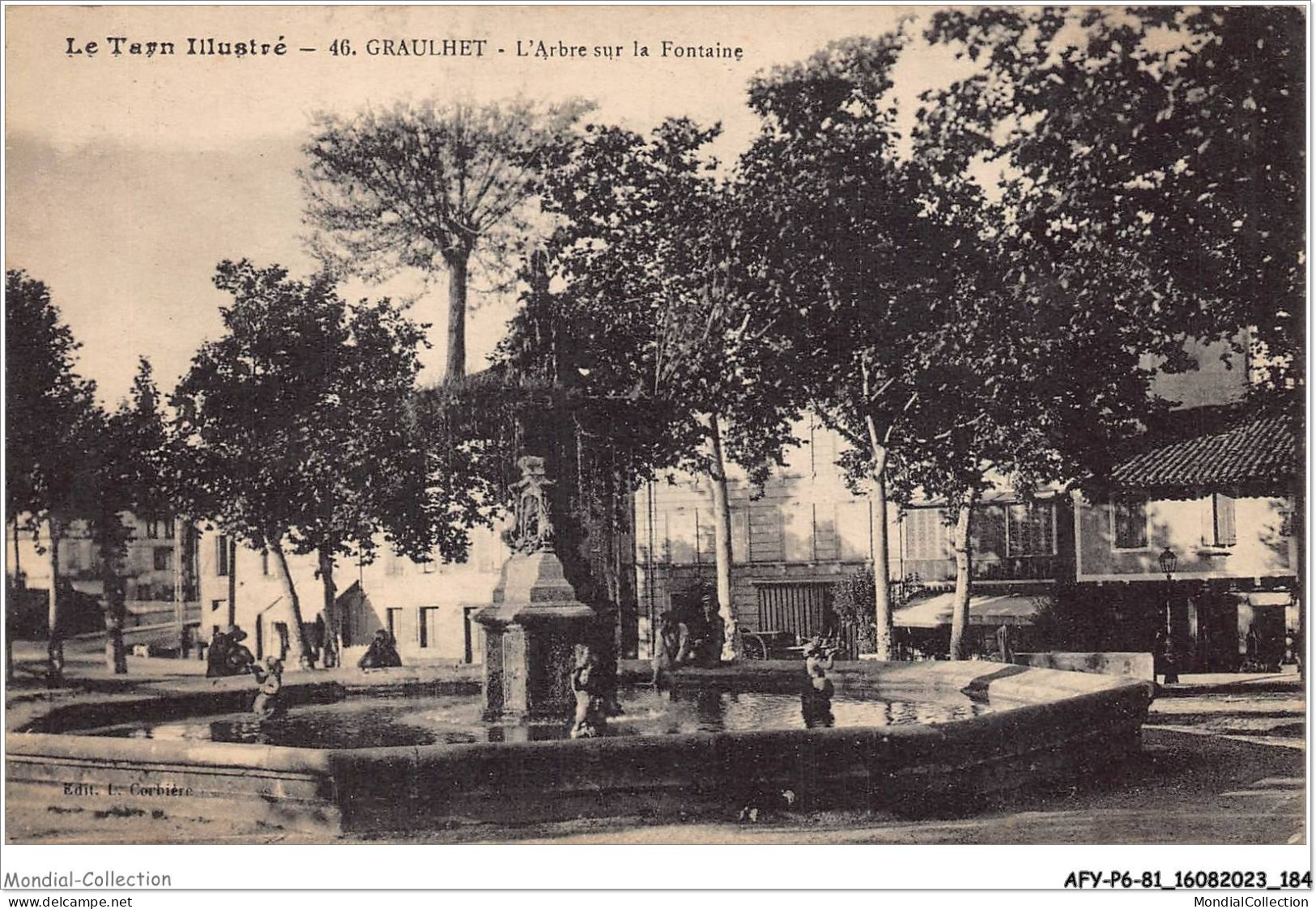 AFYP6-81-0571 - Le Tarn Illustré - GRAULHET - L'arbre Sur La Fontaine  - Graulhet