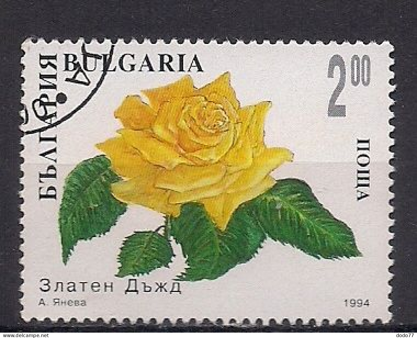 BULGARIE  N°  3593  OBLITERE - Used Stamps