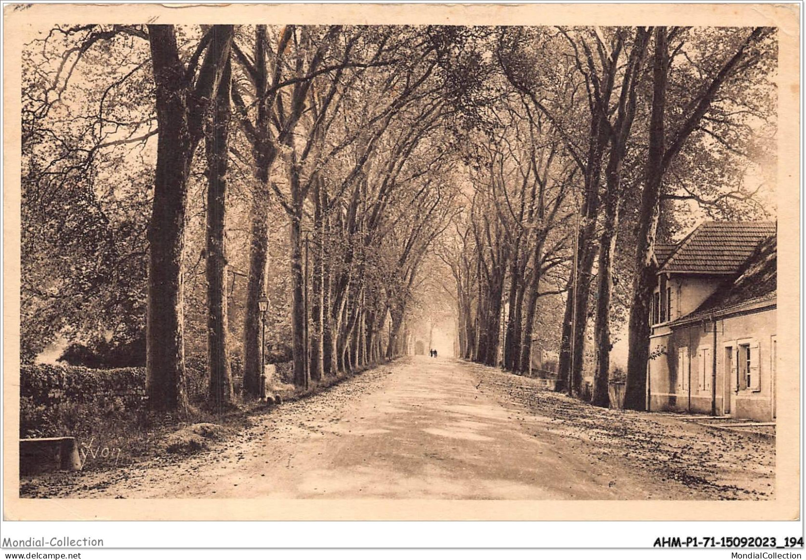 AHMP1-71-0096 - PARAY-LE-MONIAL - Avenue De Charolles Et Route De Romay - Paray Le Monial