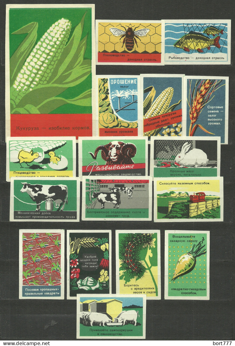 RUSSIA 1960 Matchbox Labels - Farming (corn ...) (catalog # 59) - Matchbox Labels