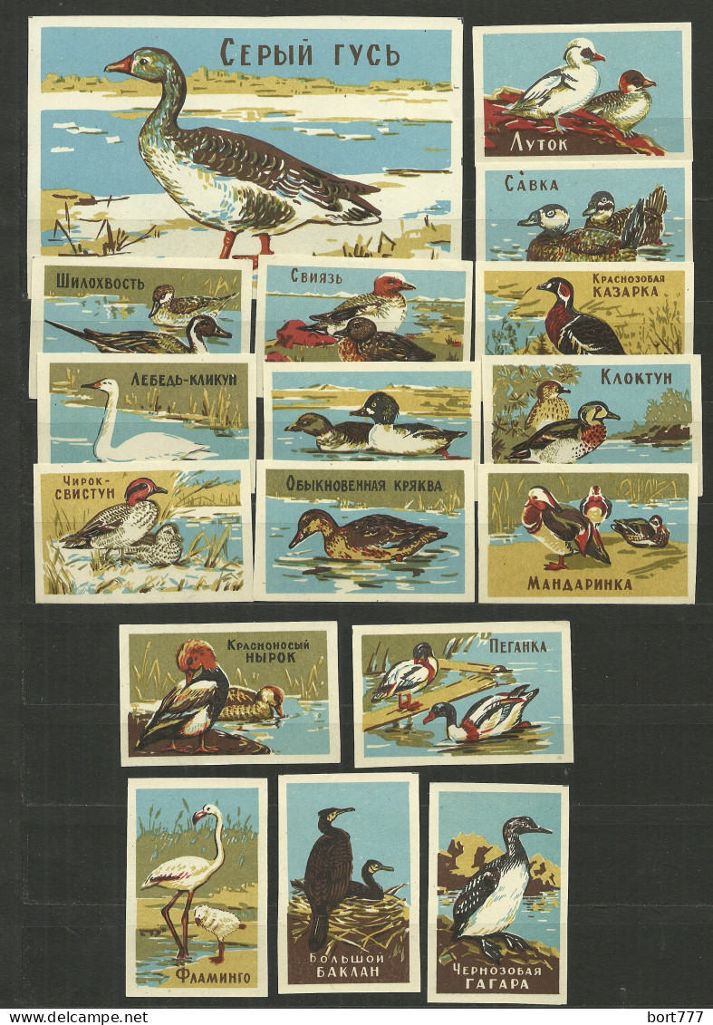 RUSSIA 1964 Year, Matchbox Labels - Waterfowl (catalog # 116) - Matchbox Labels