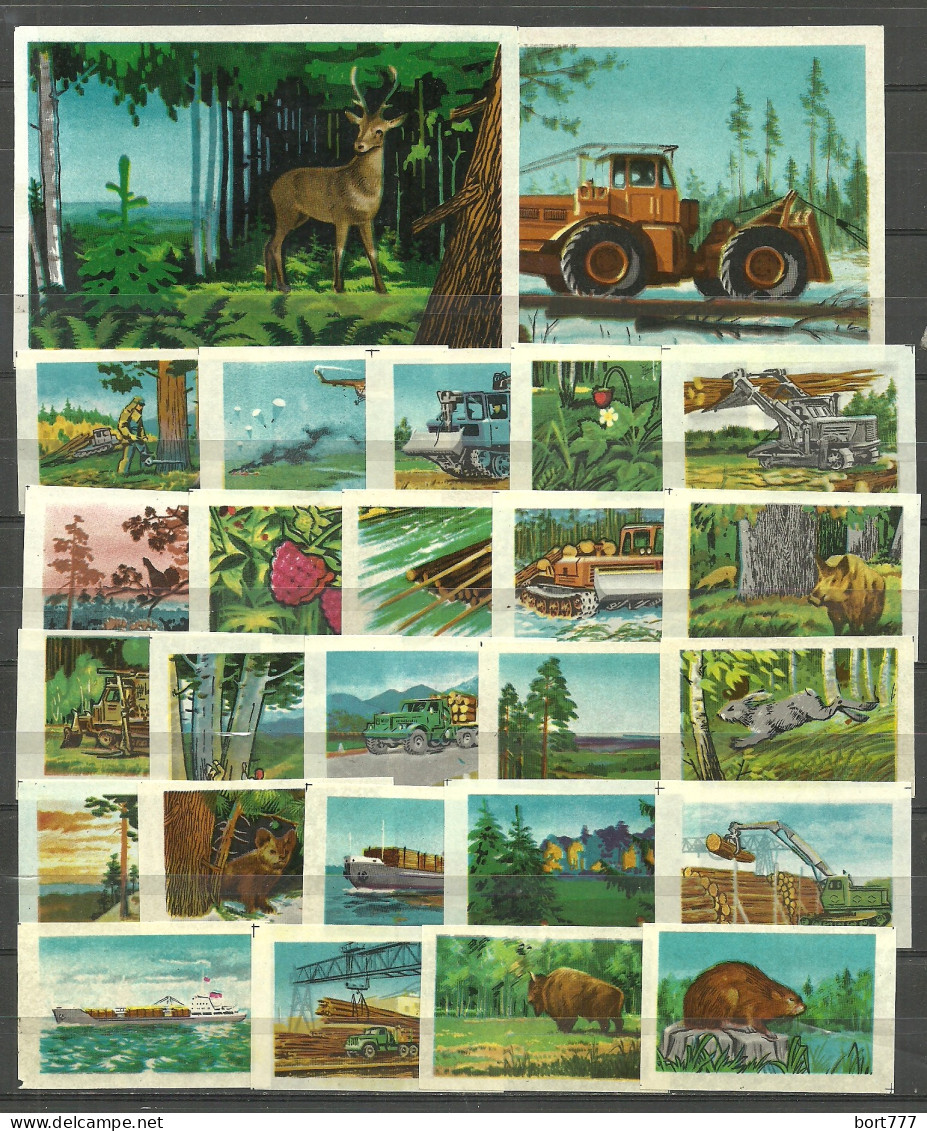RUSSIA 1971 Matchbox Labels - Forest - Our Wealth (catalog #224)  - Zündholzschachteletiketten