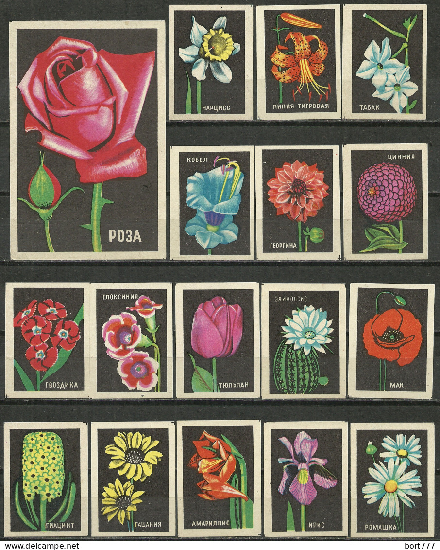 RUSSIA 1972 Matchbox Labels - Flowers - III (catalog # 235) - Matchbox Labels