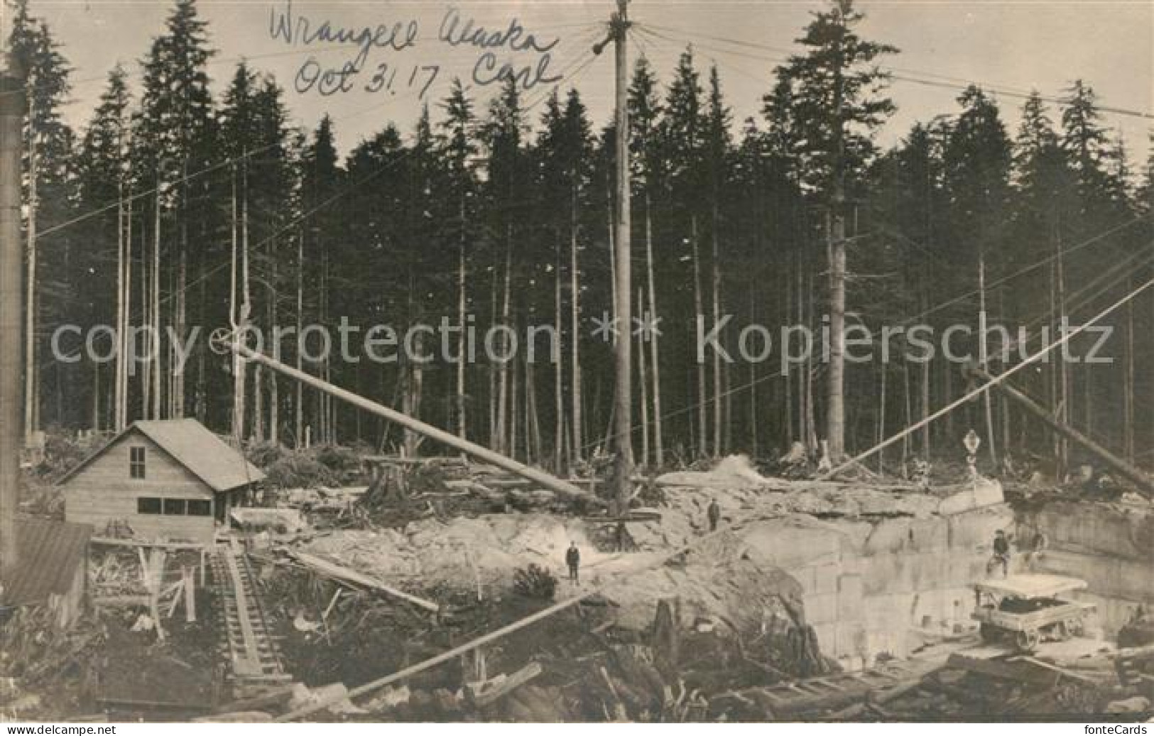 33549646 Wrangell_Alaska  - Other & Unclassified