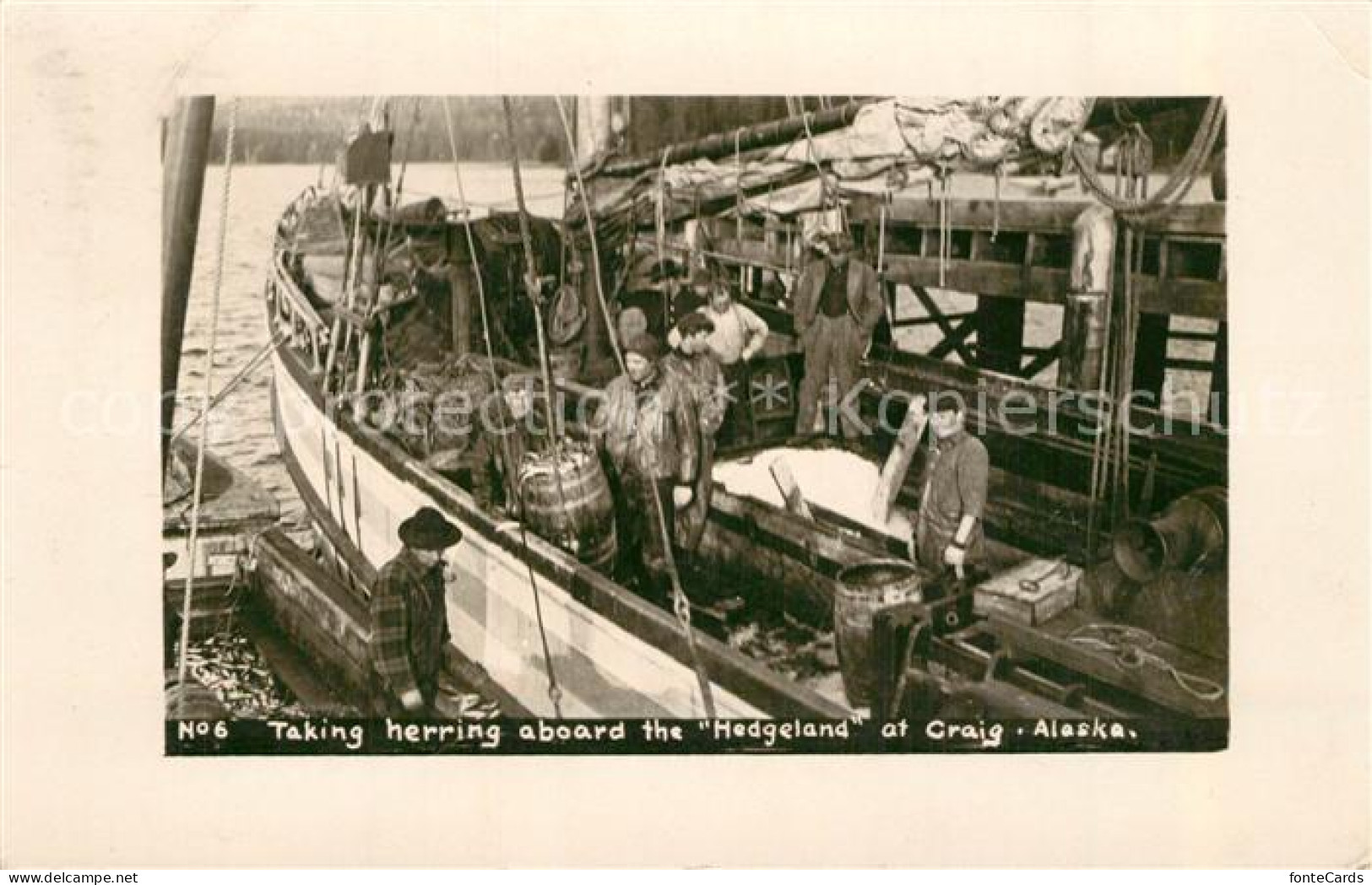 33549641 Craig_Alaska Taking Herring Aboard The Hedgeland - Other & Unclassified