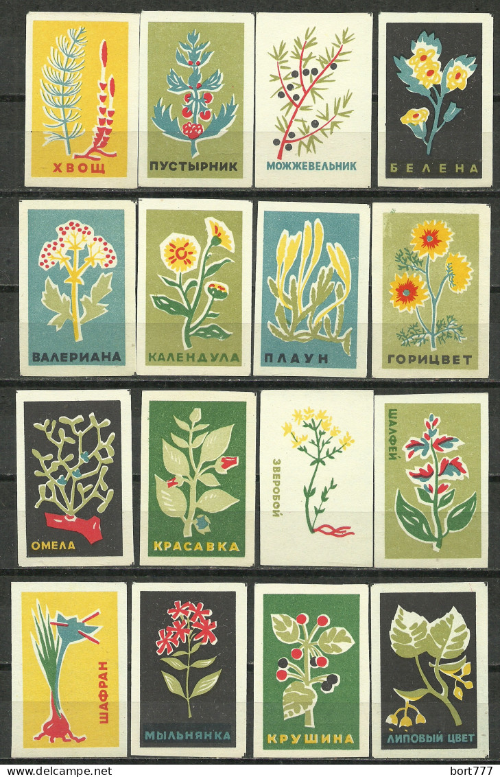 RUSSIA 1962 Matchbox Labels - Medicinal Plants(catalog # 103) - Boites D'allumettes - Etiquettes