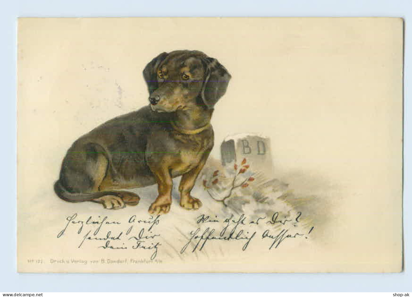 X1J24/ Schöne Dackel Litho AK Verlag: Dondorf  1905 - Dogs