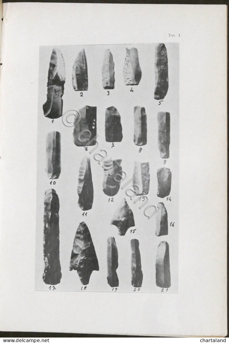 P. Peola - Avanzi Litici Stazione Neolitica Del Cristo Presso Alessandria - 1937 - Altri & Non Classificati