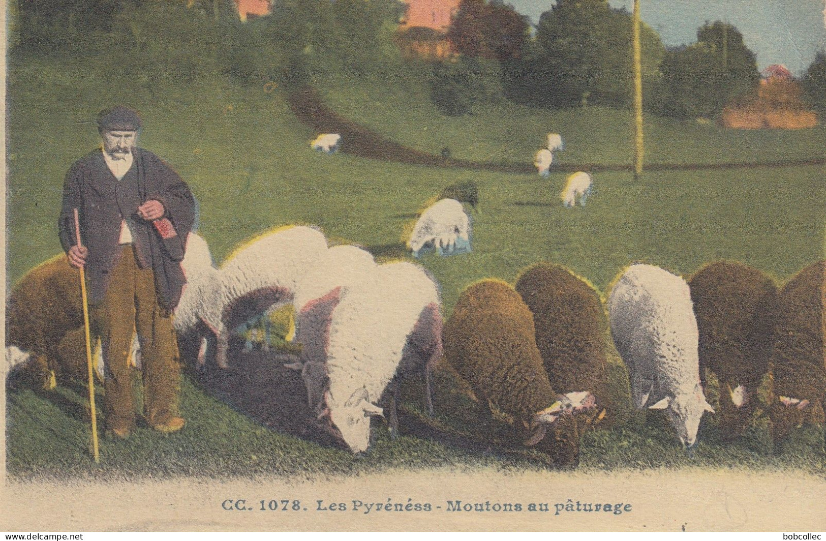 LES PYRENEES: Moutons Au Pâturage - Berger - Personajes