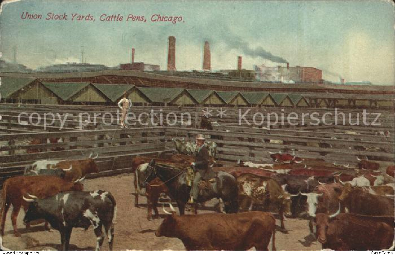 32358877 Chicago_Illinois Union Stock Yards Cattle Pens - Other & Unclassified