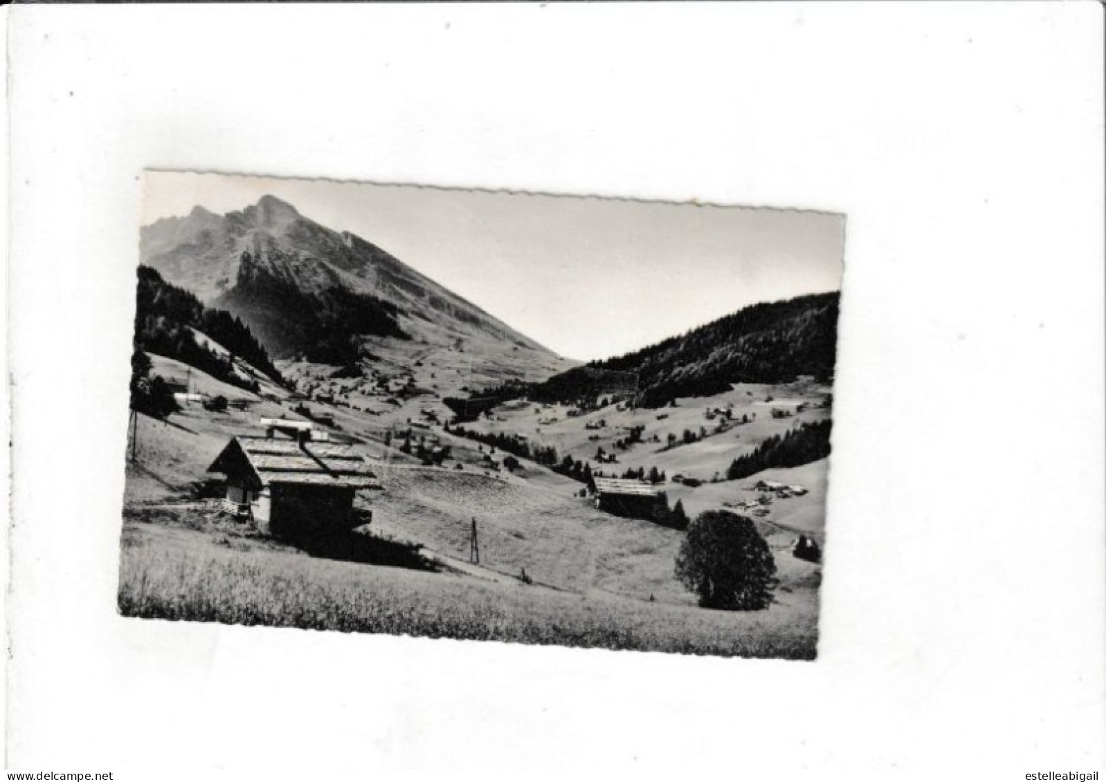 74*   AnnecyLa Clusaz  Route Du Col Des Aravis - La Clusaz