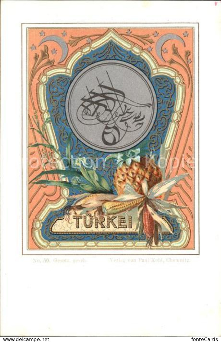 31739772 Tuerkei Ananas Mais Tuerkei - Turkey