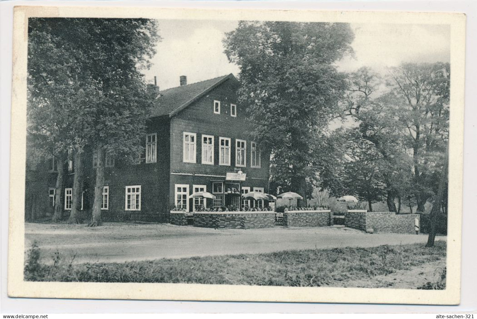 AK 1952 Wald-Restaurant Grashoff Minden - Minden
