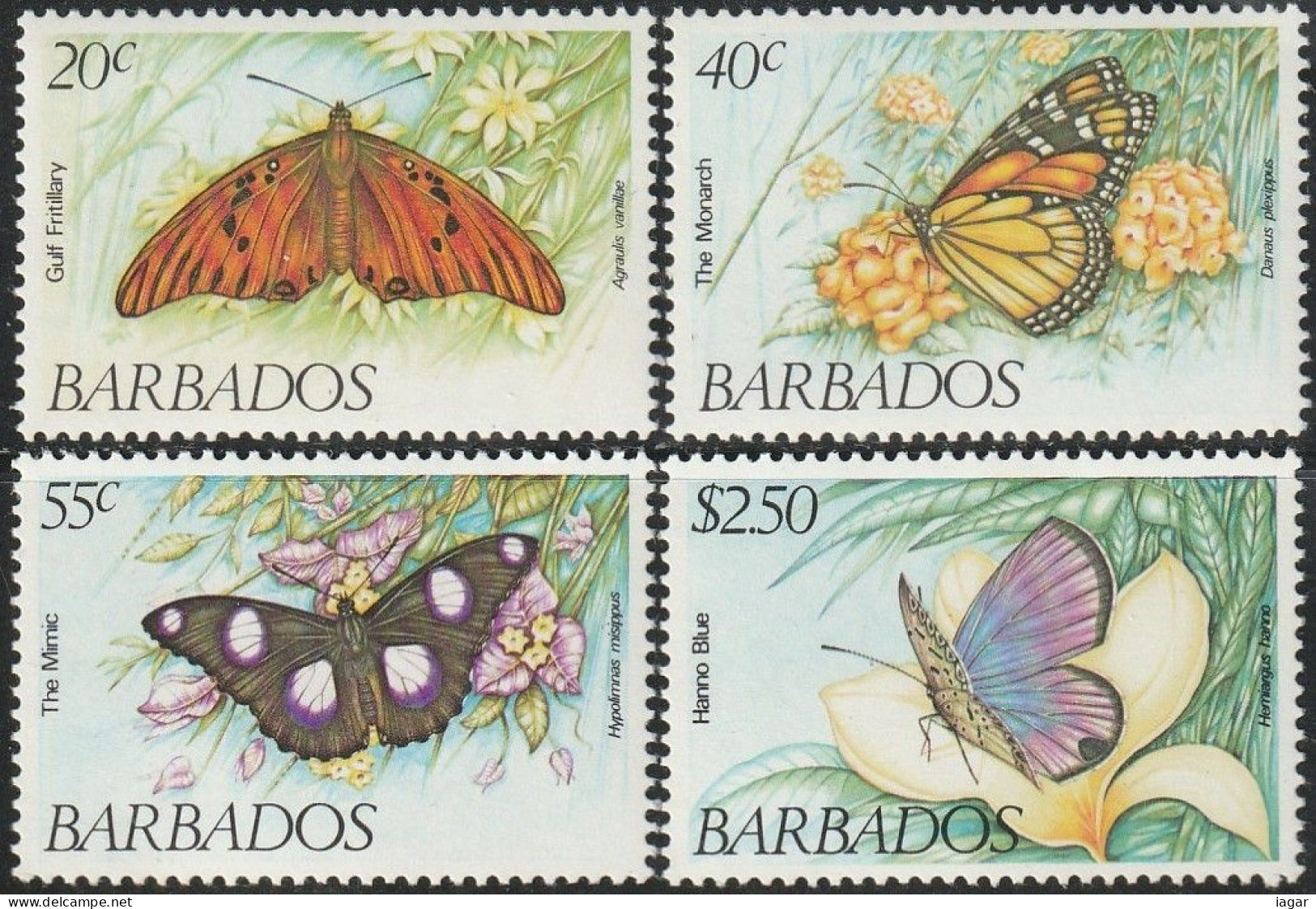 THEMATIC FAUNA:  BUTTERFLIES.  AGRAULIS, DANAUS, HYPOLIMNAS, HEMIARGUS   -    BARBADOS - Butterflies