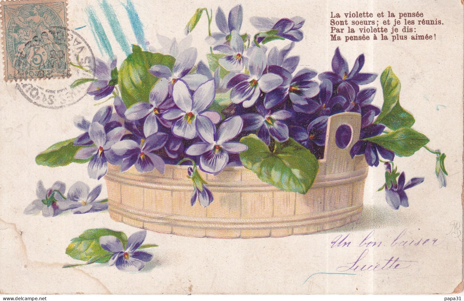 Panier De Violettes - Fiori