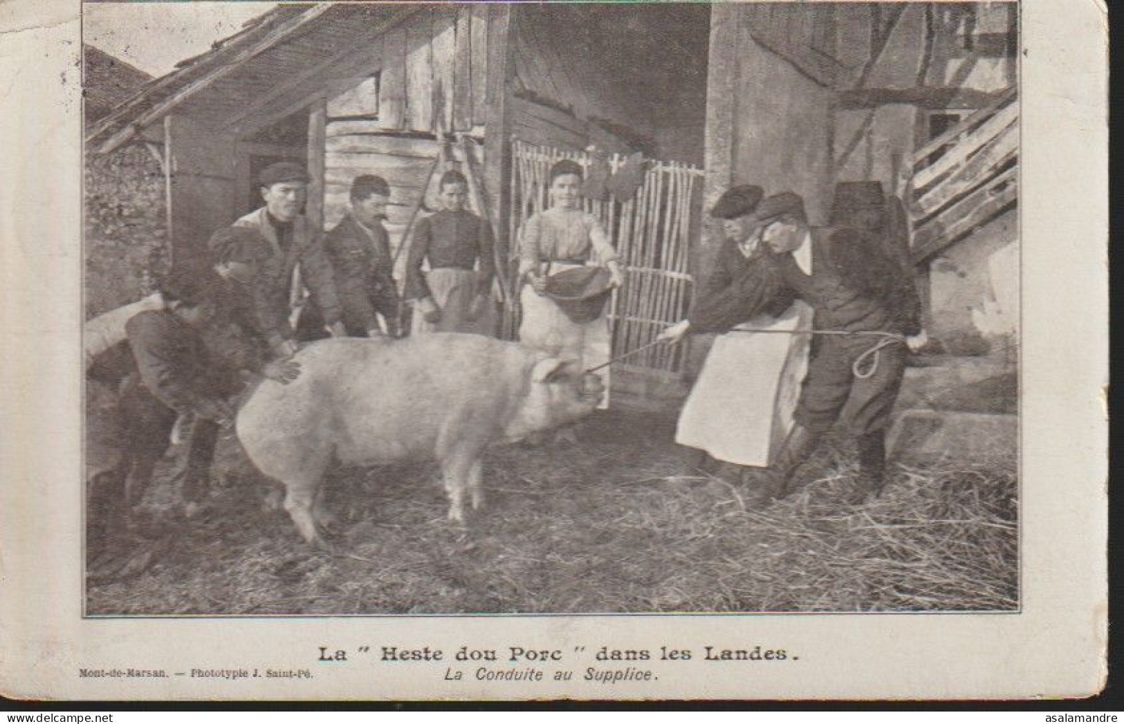 CPA – Landes – '' La Heste Dou Porc'' La Conduite Au Supplice - Autres & Non Classés