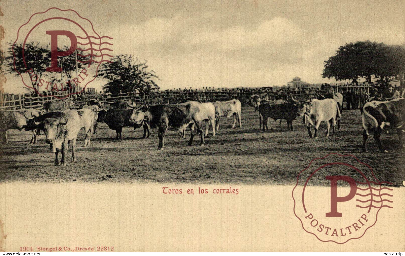 TOROS. TOROS EN LOS CORRALES. TAUROMAQUIA. BULLFIGHTING. CORRIDA. TAUREAUX - Corrida