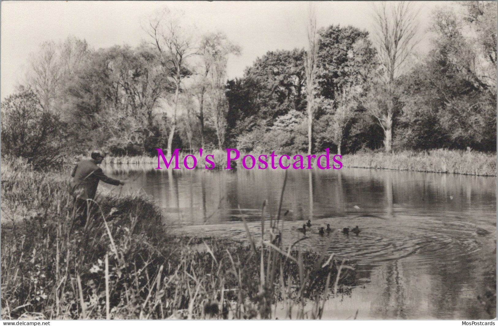 Sussex Postcard - The Lake, Woods Mill, Henfield   DZ190 - Altri & Non Classificati