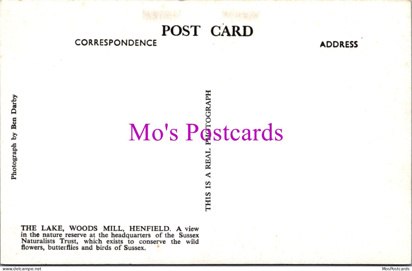 Sussex Postcard - The Lake, Woods Mill, Henfield   DZ190 - Autres & Non Classés