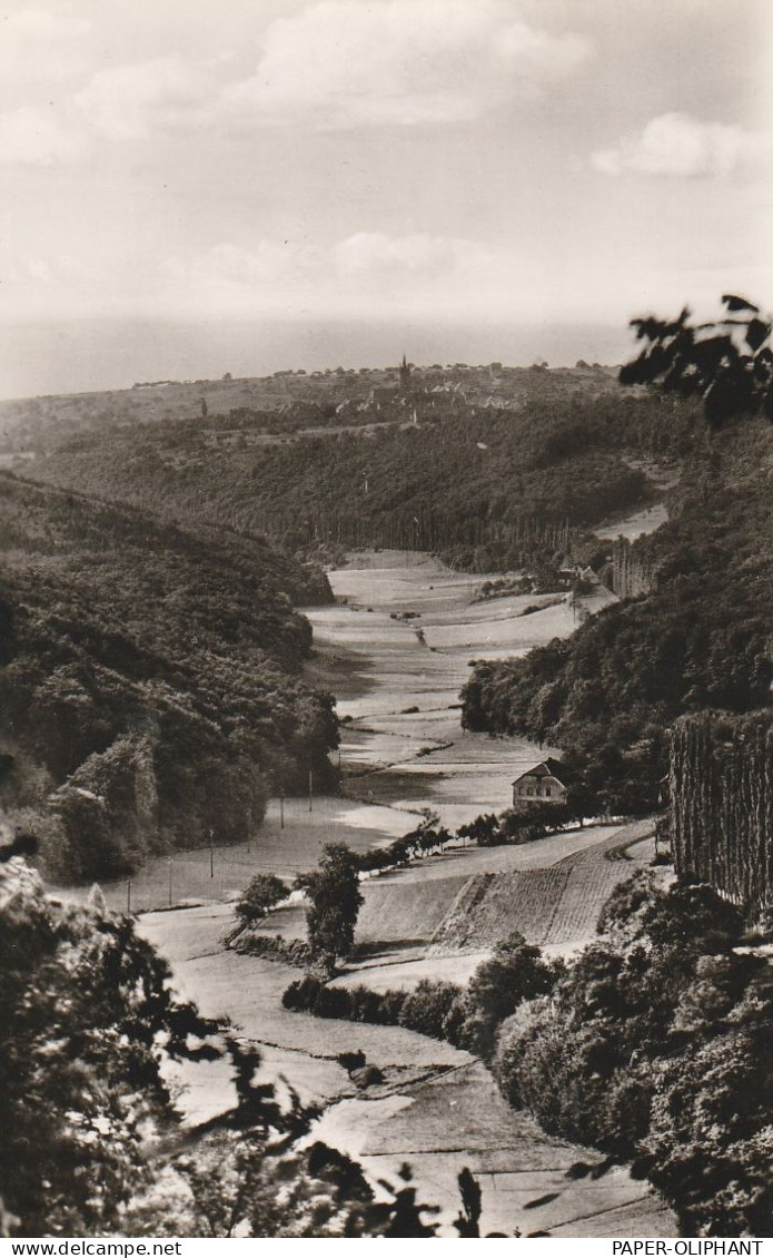 6229 SCHLANGENBAD, Blick Vom Augsutatempel - Schlangenbad