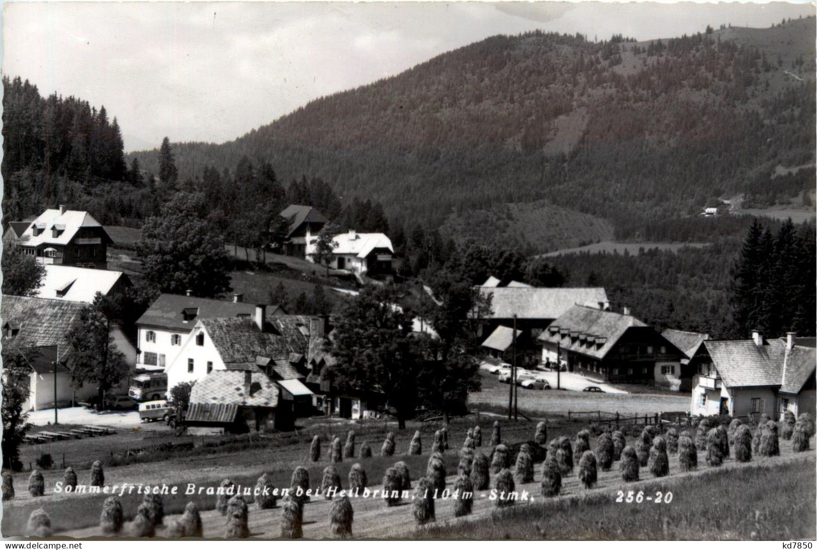 Anger/Steiermark - Sommerfrische Brandlucken - Anger