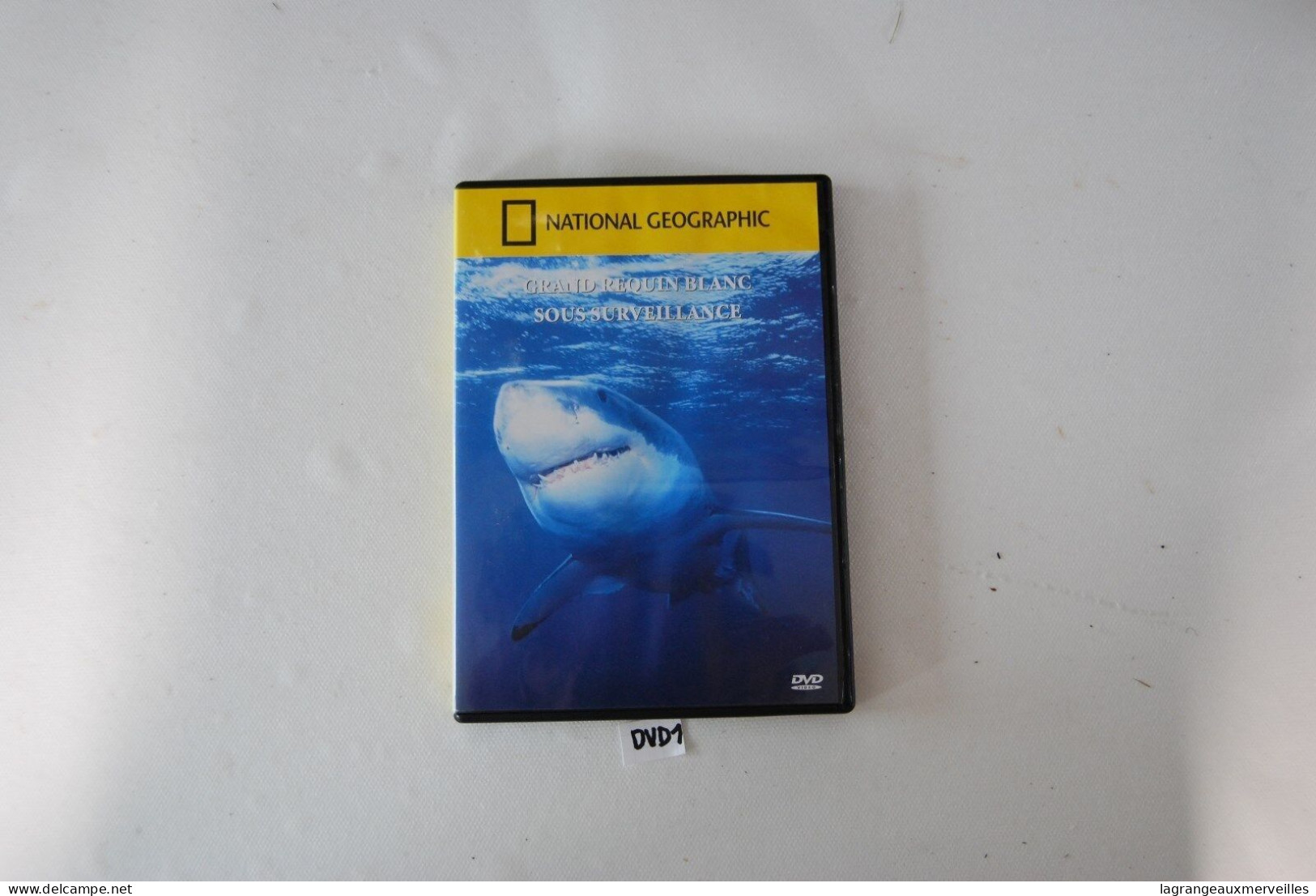 DVD 1 - GRAND REQUIN BLANC SOUS SURVEILLANCE - Documentaire