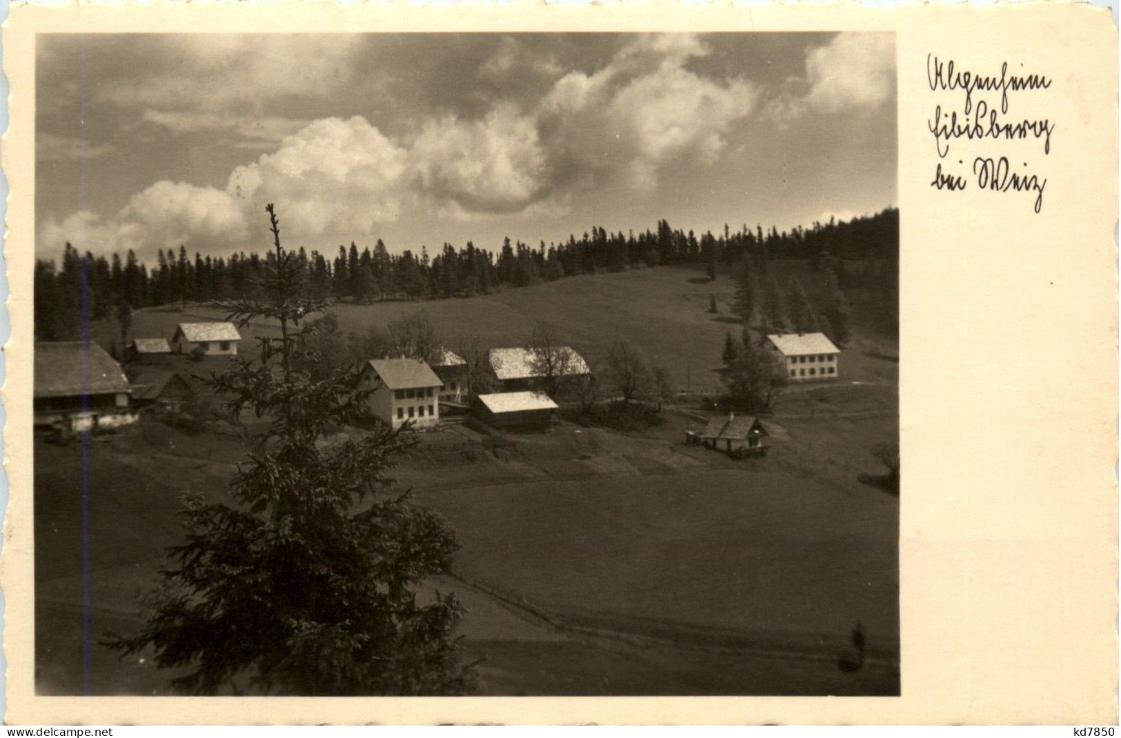 Weiz/Steiermark - Alpenheim Eibisberg Bei Weiz - Weiz