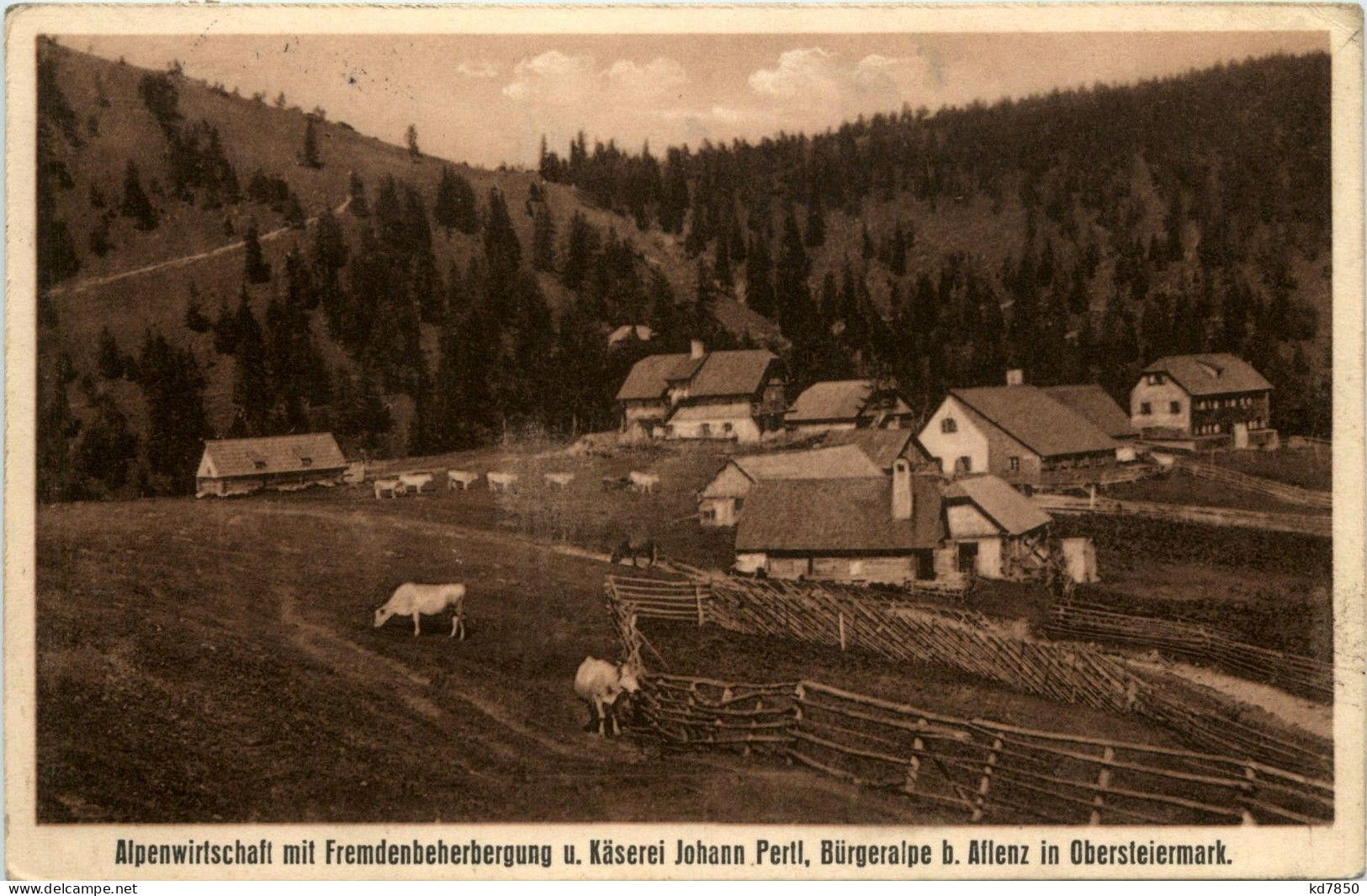 Aflenzl/Steiermark - Alpenwirtschaft U.Käserei Johann Fertl, Bürgeralpe - Alfenz